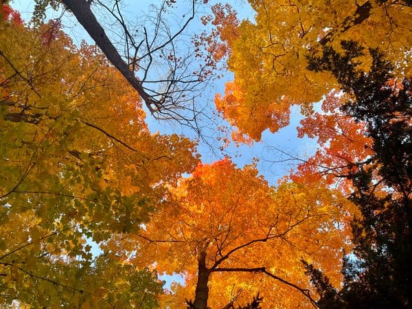 a photo in Canada